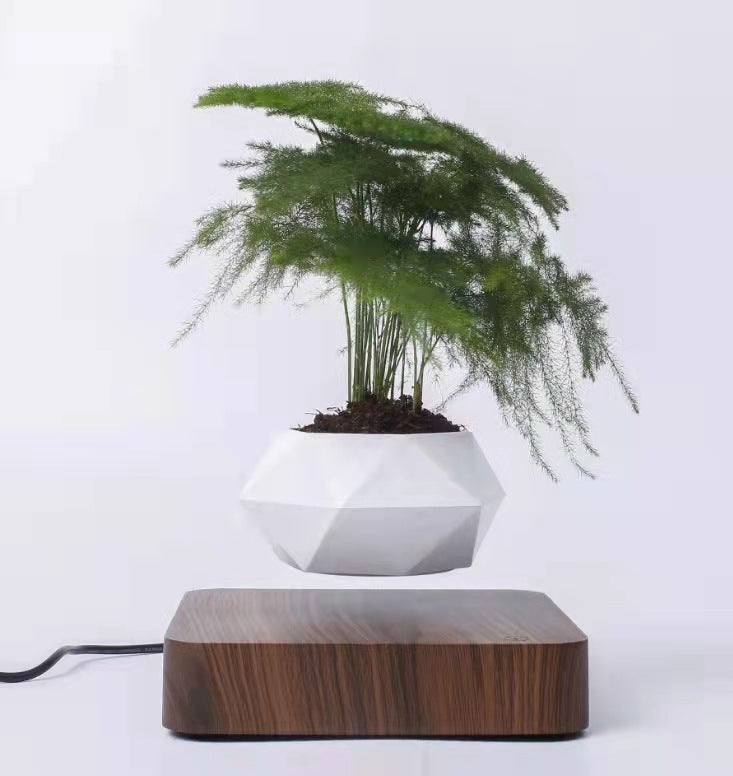 SkyPot™ – The Levitating Flower Pot