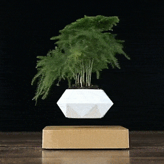 SkyPot™ – The Levitating Flower Pot