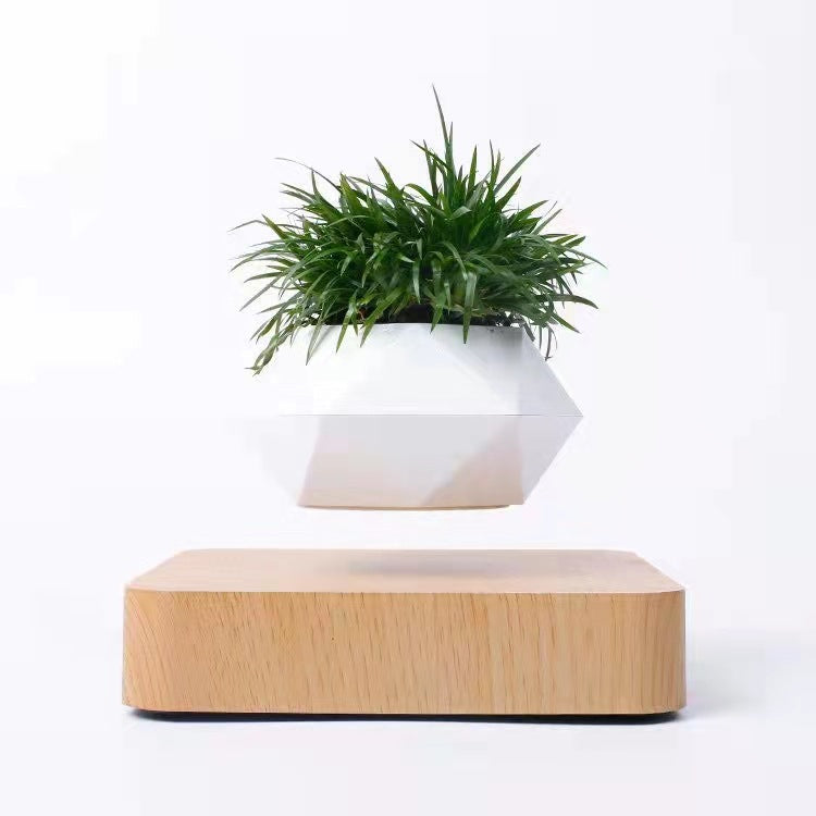 SkyPot™ – The Levitating Flower Pot