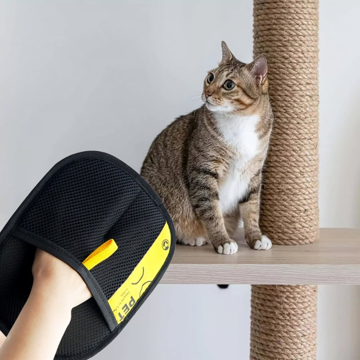 Sheddi™ Pet Hair Removal Glove