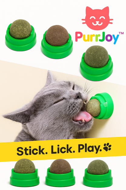 PurrJoy™ Wall-Mounted Catnip Balls – Fun & Relaxation for Your Cat