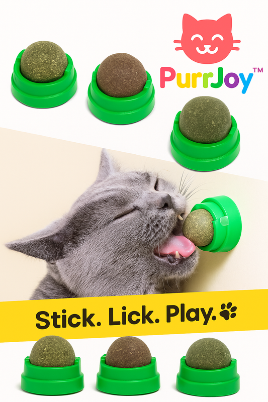 PurrJoy™ Wall-Mounted Catnip Balls – Fun & Relaxation for Your Cat