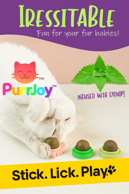PurrJoy™ Wall-Mounted Catnip Balls – Fun & Relaxation for Your Cat