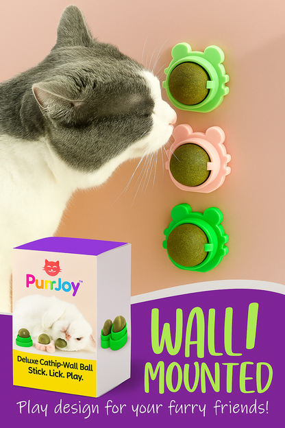 PurrJoy™ Wall-Mounted Catnip Balls – Fun & Relaxation for Your Cat